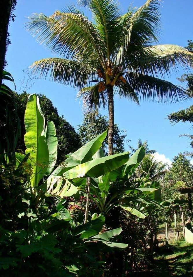 Pousada Villa Da Gama Parati Cameră foto