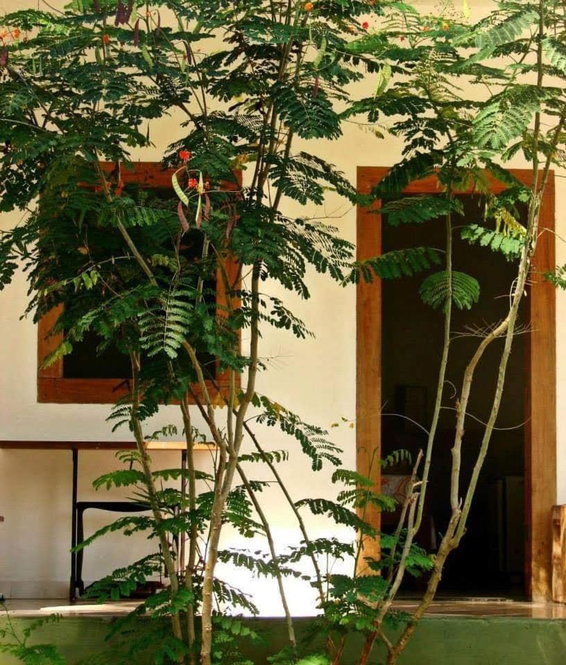 Pousada Villa Da Gama Parati Cameră foto