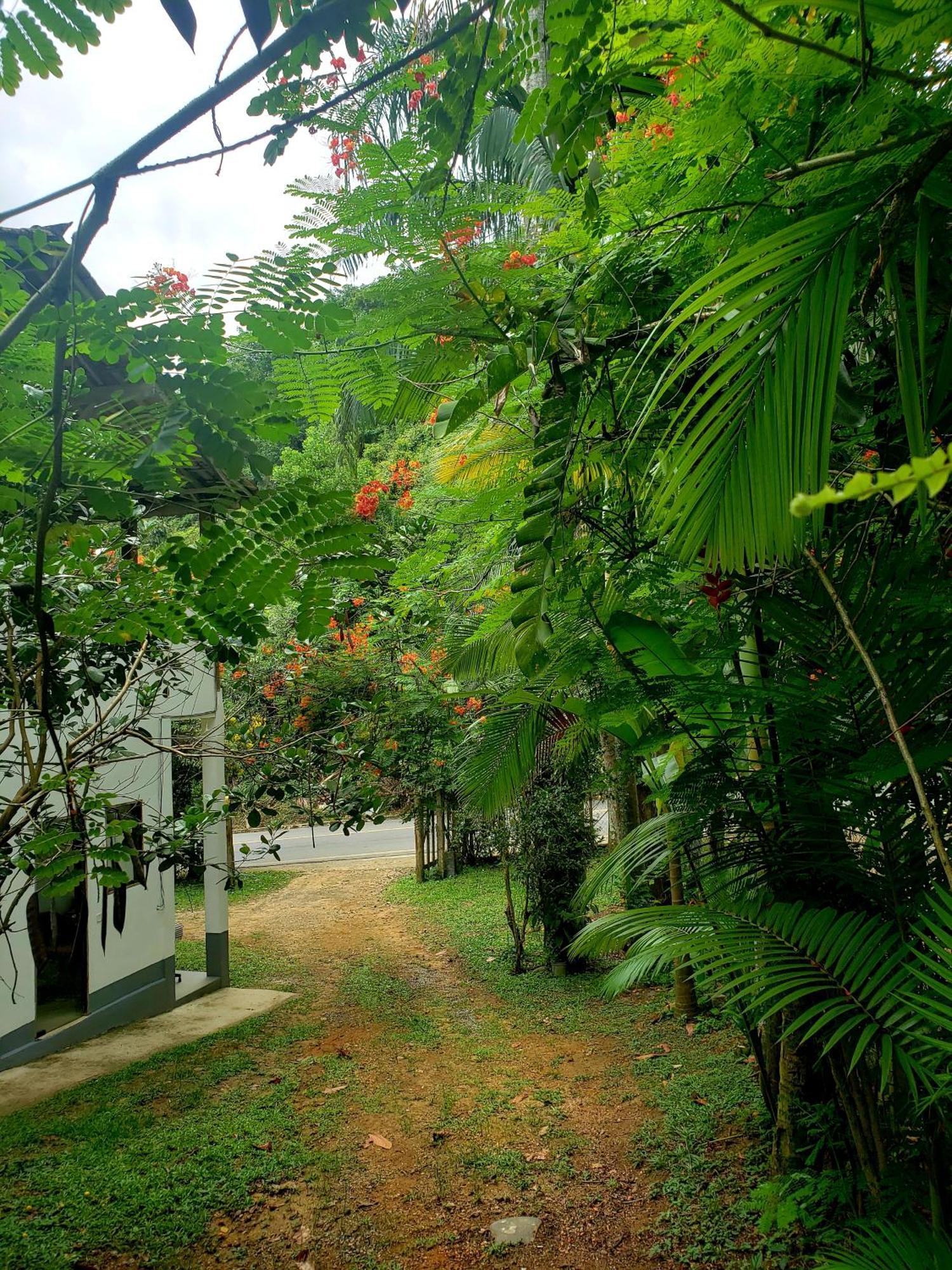 Pousada Villa Da Gama Parati Cameră foto